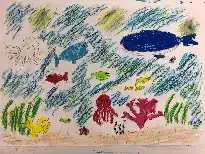 子どもたちが描いたパッケージの原画（海の生きもの）